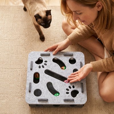 Jeu pour chat 