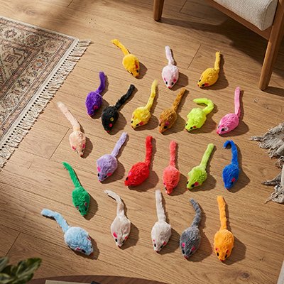 Jouet Chat 