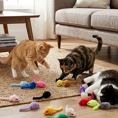 Jouet Chat 