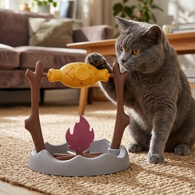 jouet pour Chat