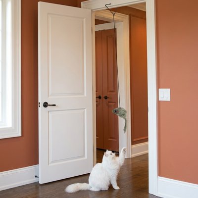 jouet pour Chat